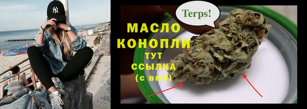 дмт Вяземский