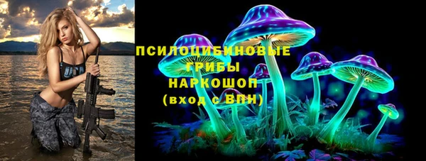 сатива Алексин