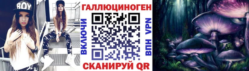 darknet официальный сайт  Новосибирск  гидра ССЫЛКА  Псилоцибиновые грибы мицелий  купить закладку 